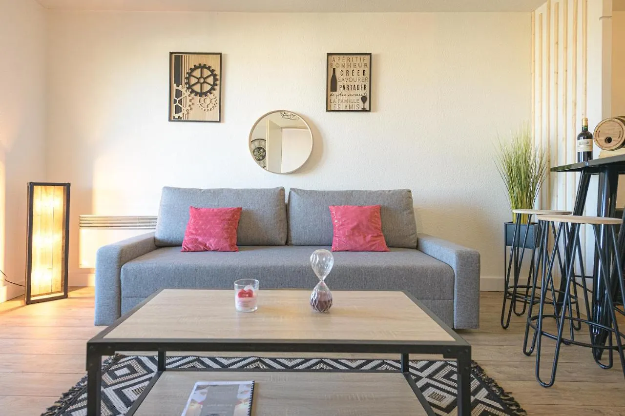 Magnifique appartement T2 rénové Aux vendanges Gaillac
